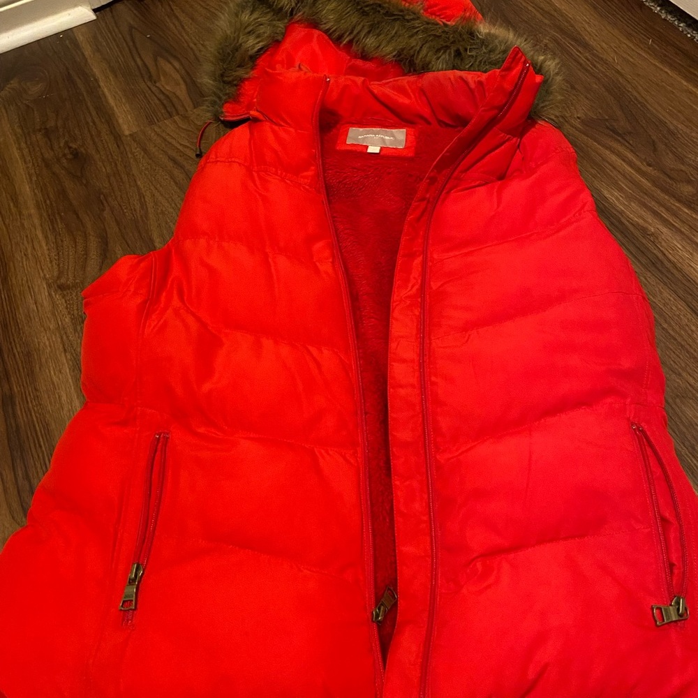 Vest